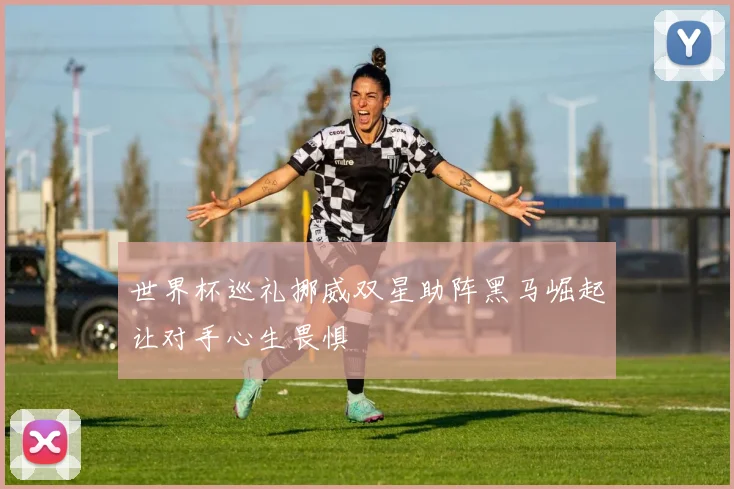世界杯巡礼挪威双星助阵黑马崛起让对手心生畏惧