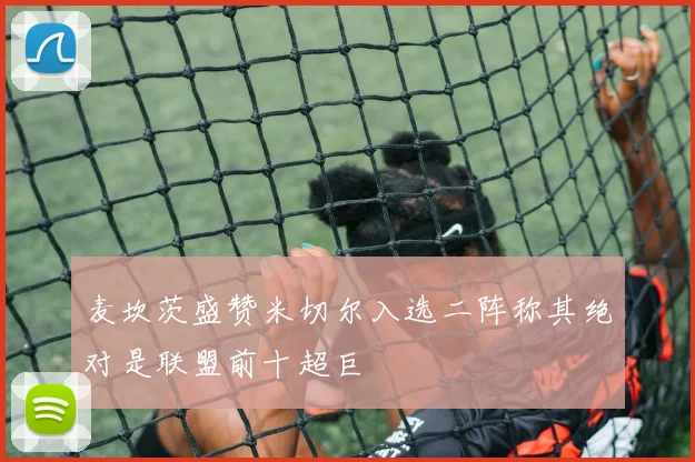 麦坎茨盛赞米切尔入选二阵称其绝对是联盟前十超巨