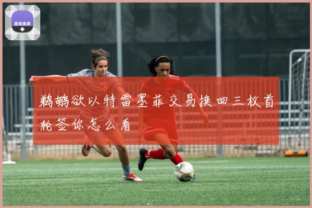 鹈鹕欲以特雷墨菲交易换回三枚首轮签你怎么看