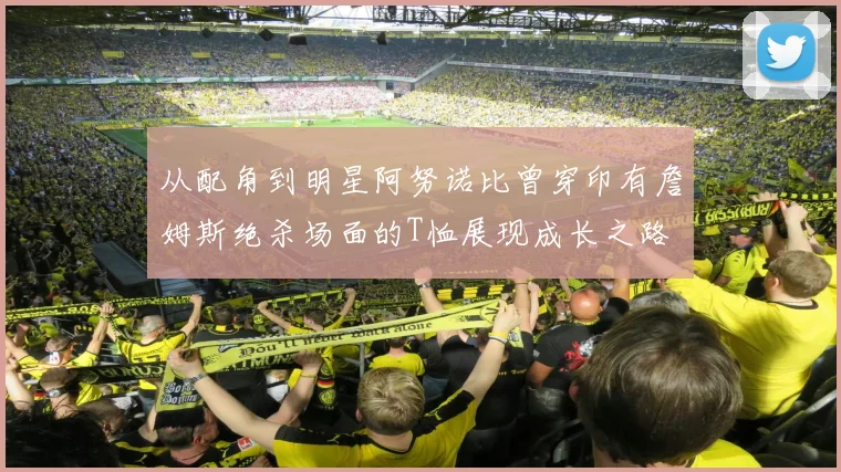 从配角到明星阿努诺比曾穿印有詹姆斯绝杀场面的T恤展现成长之路